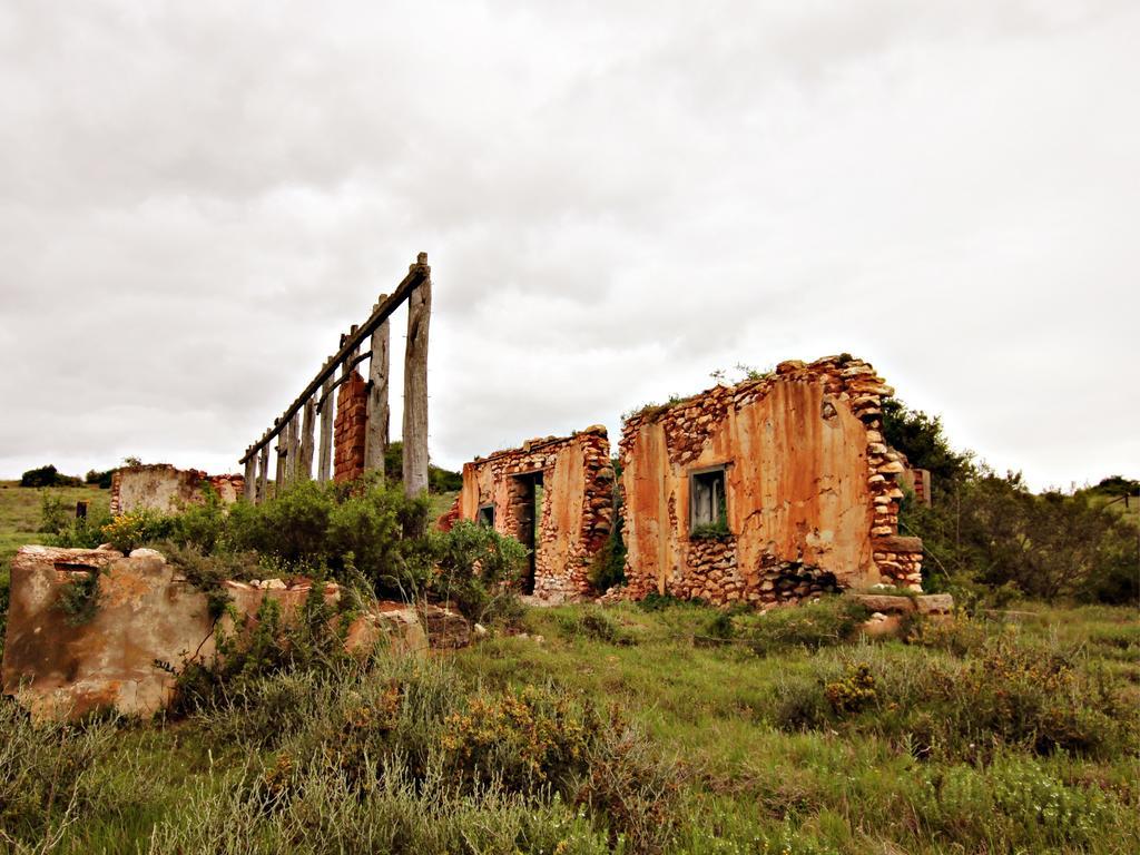 Hlosi Game Lodge - Amakhala Game Reserve Buyskloof Dış mekan fotoğraf