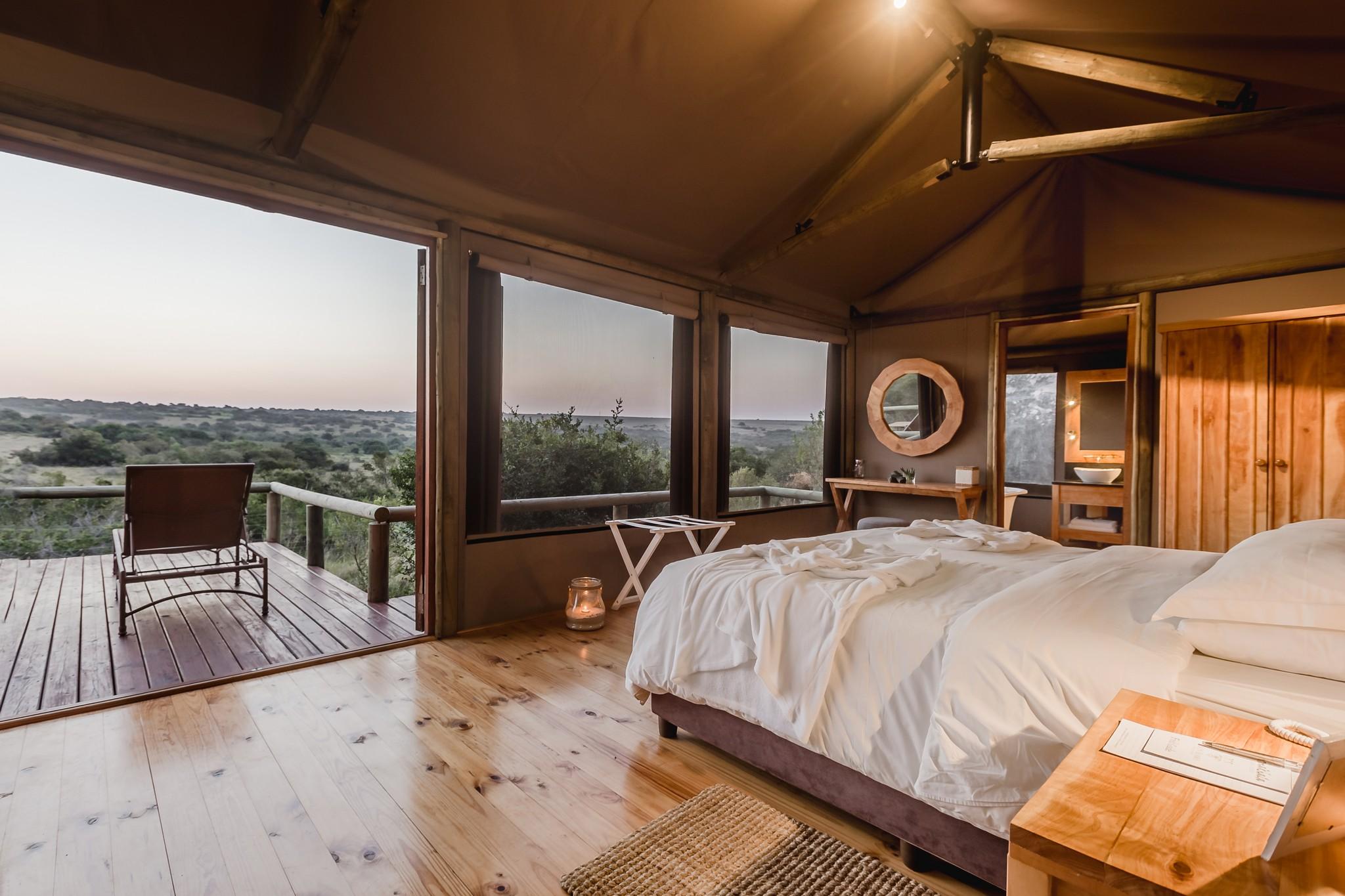 Hlosi Game Lodge - Amakhala Game Reserve Buyskloof Dış mekan fotoğraf