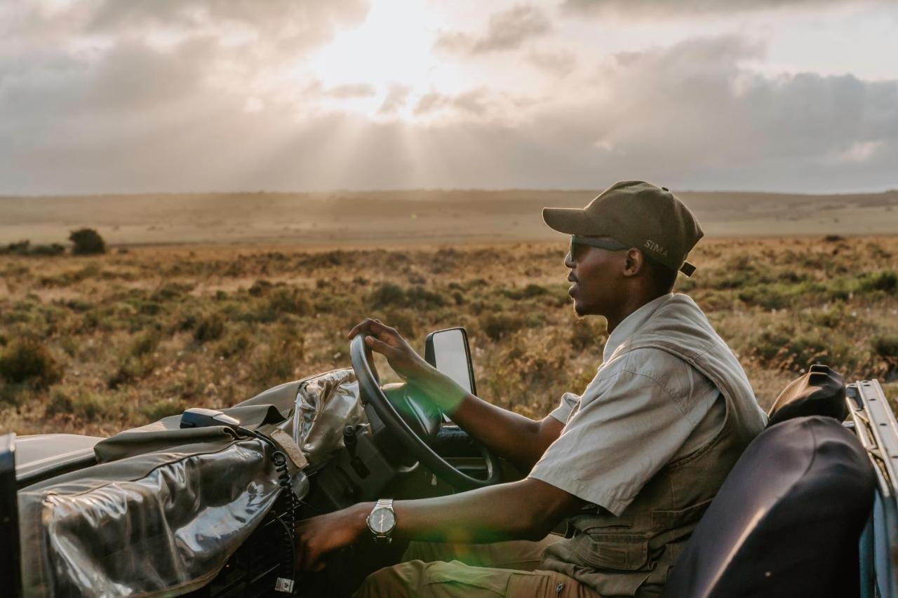 Hlosi Game Lodge - Amakhala Game Reserve Buyskloof Dış mekan fotoğraf