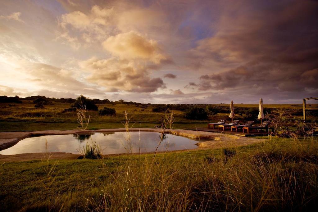 Hlosi Game Lodge - Amakhala Game Reserve Buyskloof Dış mekan fotoğraf