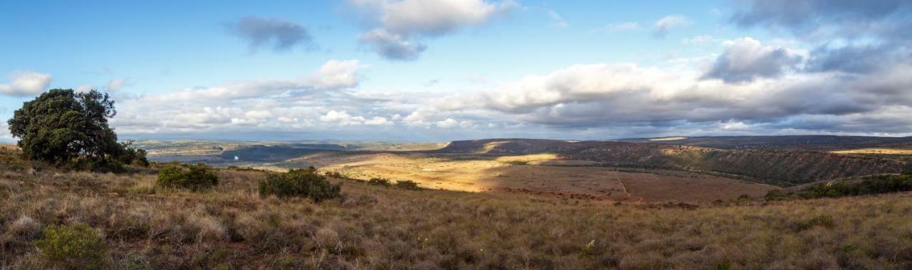 Hlosi Game Lodge - Amakhala Game Reserve Buyskloof Dış mekan fotoğraf